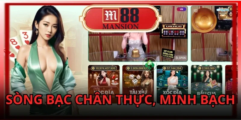 Tổng quan về cá cược trực tuyến